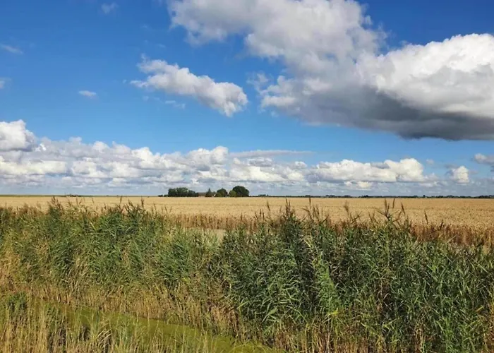 In Zuytland Buiten By The Water Ferienhaus Simonshaven