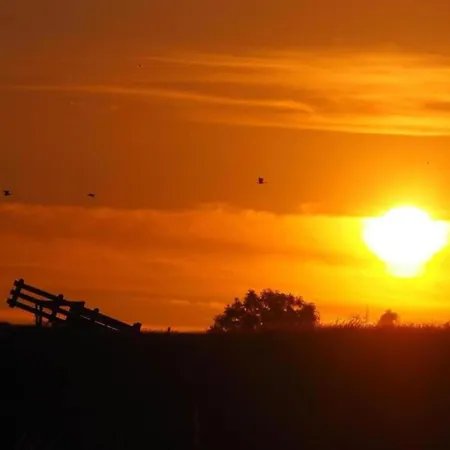 In Zuytland Buiten By The Water Prázdninový dům