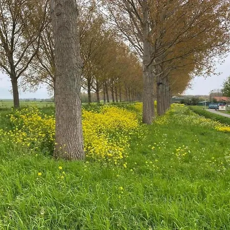 In Zuytland Buiten By The Water Simonshaven