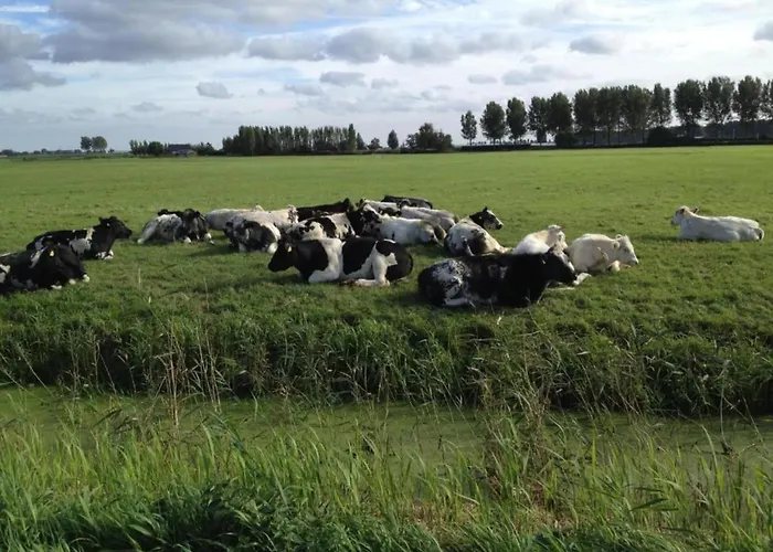 Tatil Evi In Zuytland Buiten By The Water