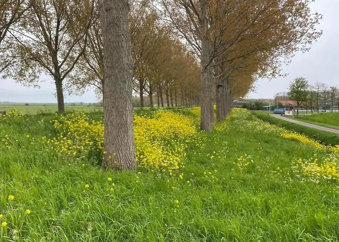 In Zuytland Buiten By The Water Simonshaven